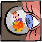 Peephole